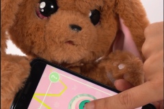 caratula-video-estetoscopi