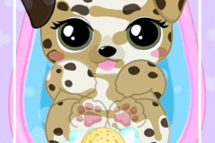 Dalmata