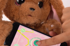 Heart-Doctor-BabyPaws